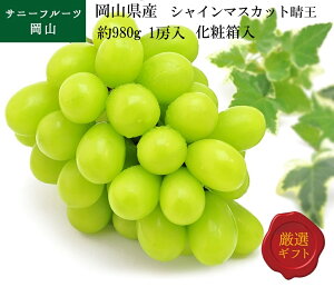 VC}XJbg 980g 1[ [ RY ō Ruh p Mtg t[c ʕ Ԃǂ uhE  (kCEE͕̕ʓr1500~܂)