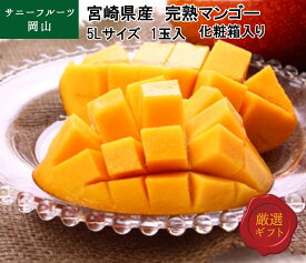 【父の日】完熟マンゴー 5Lサイズ 超特大 1玉入 宮崎県産 化粧箱入 贈答用 フルーツ お中元 送料無料 (北海道・沖縄・離島の方は別途送料1500円がかかります)
