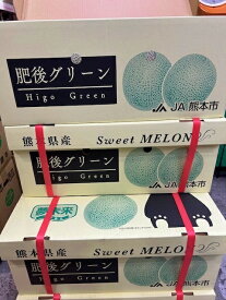 肥後グリーンメロン 優5L 2玉入り ハウス栽培 1玉約1.9～2kg 大玉 熊本県産 メロン めろん 果物 サニーフルーツ岡山 送料無料 (北海道・沖縄・離島の方は別途送料1500円がかかります)