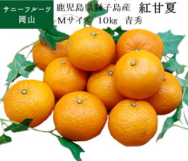 紅甘夏 Mサイズ 約10kg入 青秀 鹿児島県獅子島産 贈答用 ギフト フルーツ 果物 ミカン みかん 送料無料 (北海道・沖縄・離島の方は別途送料1500円がかかります)