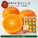 【お歳暮】紅まどんな L 約3kg 15玉入 愛媛県産 秀品 贈答用 ギフト 送料無料 (北海道・沖縄・離島の方は別途送料1500…