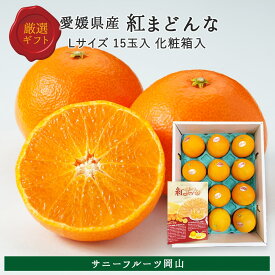 紅まどんな L 約3kg 15玉入 愛媛県産 秀品 贈答用 ギフト 送料無料 (北海道・沖縄・離島の方は別途送料1500円がかかります)