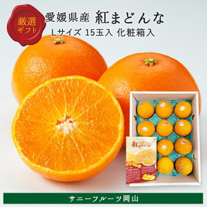 yΕzg܂ǂ L 3kg 15ʓ QY Gi p Mtg  (kCEE͕̕ʓr1500~܂)