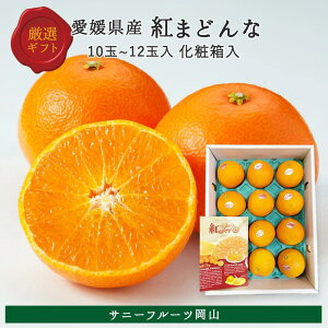 yΕzg܂ǂ 2L`3L 3kg 10`12ʓ QY Gi p Mtg  (kCEE͕̕ʓr1500~܂)