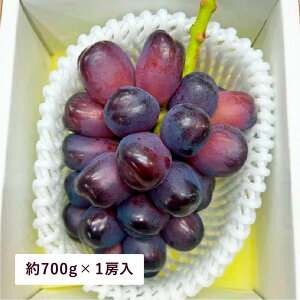 xm̋P 700g 1[ RY ubNVC}XJbg Vi ϔ p Mtg t[c ʕ Ԃǂ uhE  (kCEE͕̕ʓr1500~܂)
