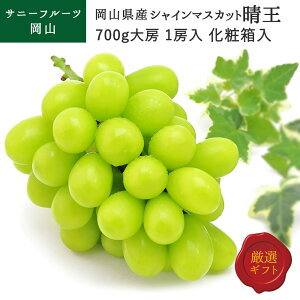 yΕzVC}XJbg 700g 1[ Ԃǂ uhE t[c ϔ Ruh ō 蕨  (kCEE͕̕ʓr1500~܂)