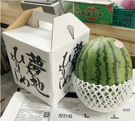 ひとりじめ西瓜 2Lサイズ 約2kg 1玉入り 熊本県産 すいか こだま西瓜 フルーツギフト サニーフルーツ岡山 送料無料 (北海道・沖縄・離島の方は別途送料1500円がかかります)
