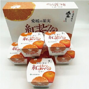 yΕzg܂ǂȃ[[6 Q̉ʎ t[cMtg [[ v`Mtg Tj[t[cR  (kCEE͕̕ʓr1500~܂)