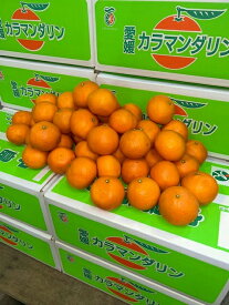 愛媛県中島産 カラマンダリン 約5kg 青秀 2L～Mサイズ 中島便りみかん ミカン 柑橘 果物 サニーフルーツ岡山 送料無料 (北海道・沖縄・離島の方は別途送料1500円がかかります)