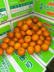 カラマンダリン 約5kg 〇2L～〇Sサイズ 愛媛県中島産 中島便りみかん ミカン 果物 サニーフルーツ岡山 送料無料 (北海道・沖縄・離島の方は別途送料1500円がかかります)