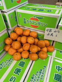 カラマンダリン 約5kg 赤秀 2L～Mサイズ 愛媛県中島産 中島便りみかん ミカン 果物 サニーフルーツ岡山 送料無料 (北海道・沖縄・離島の方は別途送料1500円がかかります)