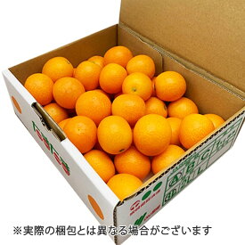 完熟きんかん たまたま A2L～ALサイズ 約1kg 宮崎県産 金柑 キンカン 送料無料 (北海道・沖縄・離島の方は別途送料1500円がかかります)