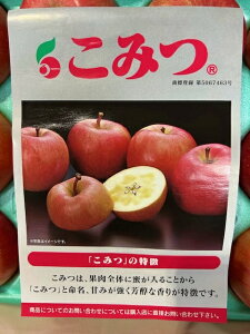 yΕz݂ () 2kg 9`11ʓ XY  t[c ʕ S Tj[t[cR  (kCEE͕̕ʓr1500~܂)