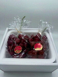 }Cn[g 500g 2[ RY  Vi Ԃǂ x uhE t[c 蕨 Tj[t[cR  (kCEE͕̕ʓr1500~܂)