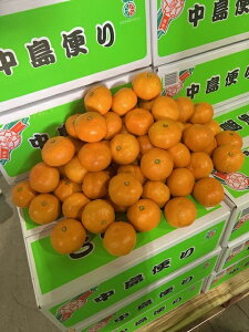 yΕzx ݂ GSTCY 5kg QY ւ B݂ k ~J p Mtg p t[c ʕ Tj[t[cR  (kCEE̕