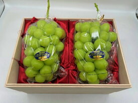 シャインマスカット晴王 1房約1kg 2房入 木箱入 超大房 岡山県産 最高傑作 岡山ブランド 贈答用 高級ギフト フルーツ 果物 ぶどう ブドウ 送料無料 (北海道・沖縄・離島の方は別途送料1500円がかかります)