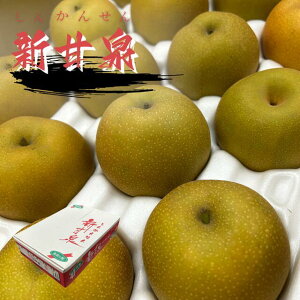 VÐ 5kg G 20ʓ 挧Y  񂩂񂹂 Ȃ t[c Mtg ʕ  Tj[t[cR  (kCEE͕̕ʓr1500~܂)