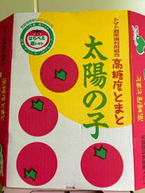 熊本県八代の高糖度とまと 太陽の子 3L〜Mサイズ 約1.8kg フルーツトマト 塩とまと 送料無料