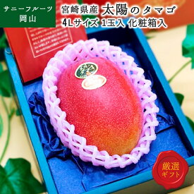 【父の日】太陽のタマゴ 4Lサイズ 1玉入 超大玉 宮崎県産 完熟マンゴー化粧箱入 贈答用 お中元 フルーツ サニーフルーツ岡山 送料無料 (北海道・沖縄・離島の方は別途送料1500円がかかります)