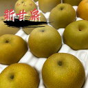 新甘泉梨 約3kg 1玉220g前後 小玉サイズ 12～14玉入 鳥取県産 梨 しんかんせん なし フルーツ ギフト 果物 お取り寄せ…