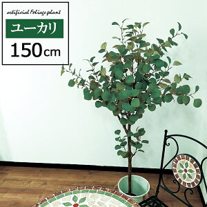 lHϗtA 150cm [J ^ tFCNc[ tFCNO[ ϗtA  CeA A     ^ j 150cm V