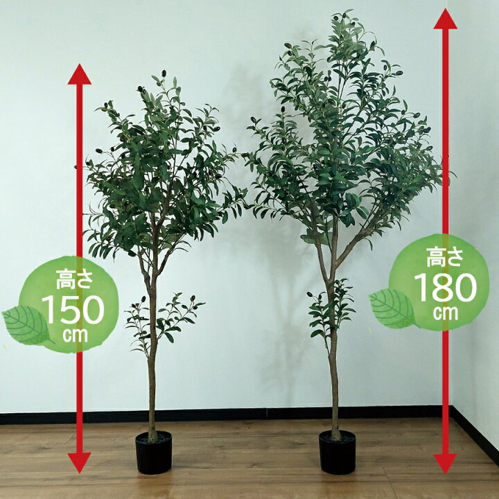 楽天市場】【ポイント2倍】 人工観葉植物 高さ180cm オリーブ 大型 