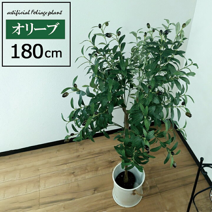 楽天市場】【ポイント2倍】 人工観葉植物 高さ180cm オリーブ 大型 