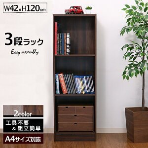 [I J[{bNX 3i Hsv Vv 42cm 120cm A4Ή ~fBAuEF OCF V
