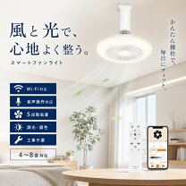 楽天市場】物置（シーリングファン｜天井照明）：ライト・照明器具 