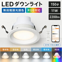 ダウンライト 150穴 交換型 白熱の通販