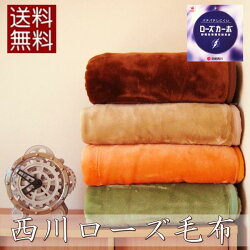 【日本製】西川ニューマイヤー毛布「sunnydays-2」シングルサイズ