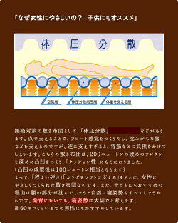 ナチュラル体圧分散敷布団3