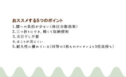 ナチュラル体圧分散敷布団3