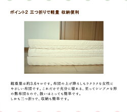 ナチュラル体圧分散敷布団3