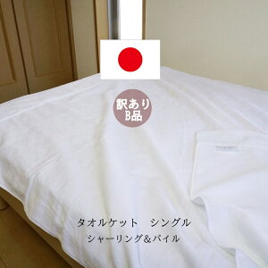 ^IPbg VO _u { Y 󂠂Bi V[OpC 140x190cm 180x230cm 100 􂦂 Q z | Ȗѕz ƂĂg  ėp | n  uE