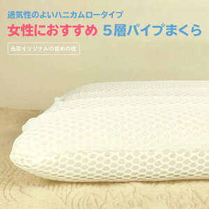 【月間優良ショップ受賞】 枕 女性にやさしい 低い まくら 安定 若干 柔らか ハニカムピロー ソフトパイプ LowType 枕ピロ? 43cm×63cm 肩凝り 肩こり