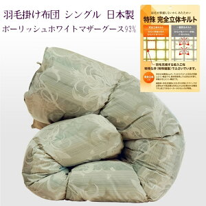 Hѕzc VO |[hY zCg }U[O[X_E 93% ɍג 160o 100 yĒg Ԃłɂ S̃Lg _Ep[410 { H HтӂƂ 