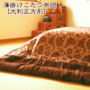 yԗDǃVbv܁z zc 唻`G{X^Cvubrownv |zc R^czc  `