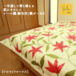 Ȗѕz VO { Vr t[X pC̔ɂ V[DȖѕz   K[[Pbg ѕz 100@􂦂 ې Rbg n O[ AC{[