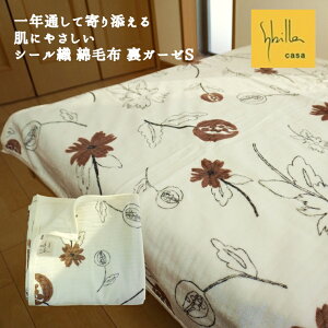 Ȗѕz VO { Vr u pC̔ɂ V[DȖѕz   K[[Pbg ѕz 100@􂦂 ې Rbg n uE bh