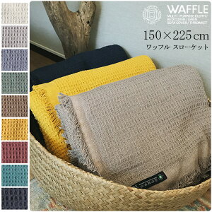 y}\P2{z uPbg 唻 }`Jo[ bt Vv JtF AEghA Rbg  k Ђ| 150cm×225cm  RbguPbg tW X[Pbg G|