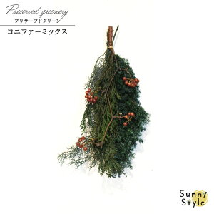 NX}X XbO [X qXM u[ACX TLC Ԃ Rjt@[~bNX hCAW hCt[ Ǌ| CeAt[ AWg ԍ } xmas Christma