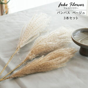  XXL  H̖ fBXvC \ܖ  AXJ ppX VRf  A[eBtBVt[ ppXOX ԗt CeAt[  AWg