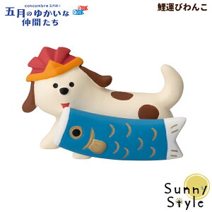 RRu ܌ 2024 ܌l` ^т DECOLE concombre ܂}XRbg  u fBXvC CeA 킢  