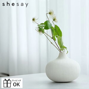 yP10{z t[x[X ԕr ֑} IV }bg  shesay t[x[XEX^h ؍CeA kCeA i` a_ v`v 킢 NX}X  