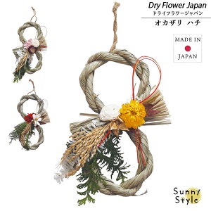 ߓ  { ߓ n` 8̎ hCt[ Vi i` XbO ^bZ      ChCWp okazari Dry Flower ؂₩ _