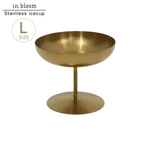 ACXJbv ^J S[h XeX rtJbv  IV  e[uEFA Vv AeB[N Be[W H@Ή v[g Vzj STCY LT