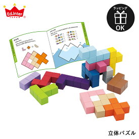 送料無料（北海道・沖縄は対象外） おもちゃ 積み木 立体パズル エドインター 知育玩具 木製玩具 木製ブロック おもちゃ 型はめ 子ども玩具 ブロック遊び 入園祝い 誕生日プレゼント 知の贈り物シリーズ 4歳 5歳 6歳