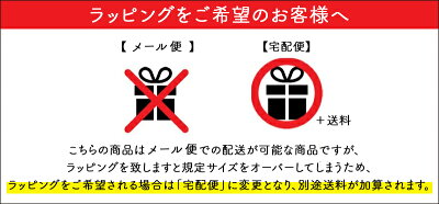 \X'masラッピング無料/エコバッグMOTTERUモッテルクルリトクーラーマルシェバッグ保冷バッグクーラーバッグショッピングバッグ買い物バッグトートバッグレジレジ袋折りたたみマザーズバッグ大容量大アウトドアかわいいおしゃれシンプル【あす楽対応】