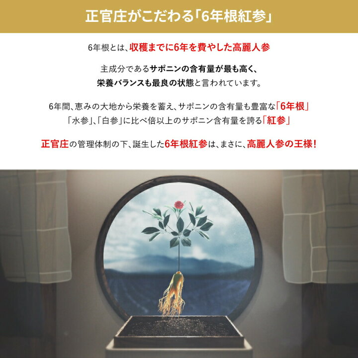 楽天市場】正官庄 紅参精 ロイヤル 240g 2個セット DF2029 紅蔘エキス 
